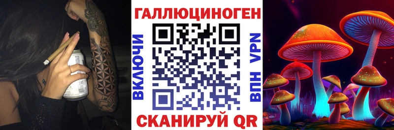 Галлюциногенные грибы MAGIC MUSHROOMS  Купить  Буйнакск 